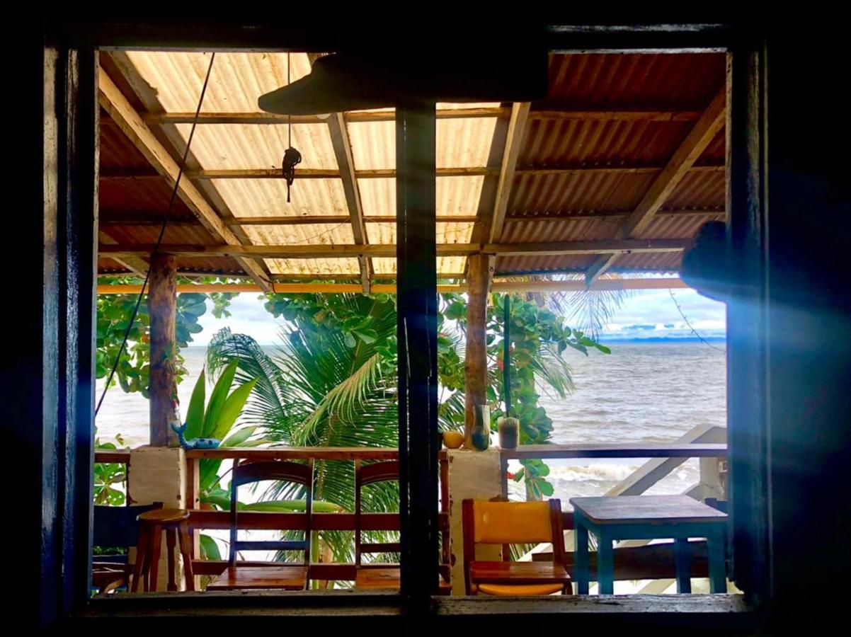 Hostal La Mariapolis Necoclí Dış mekan fotoğraf