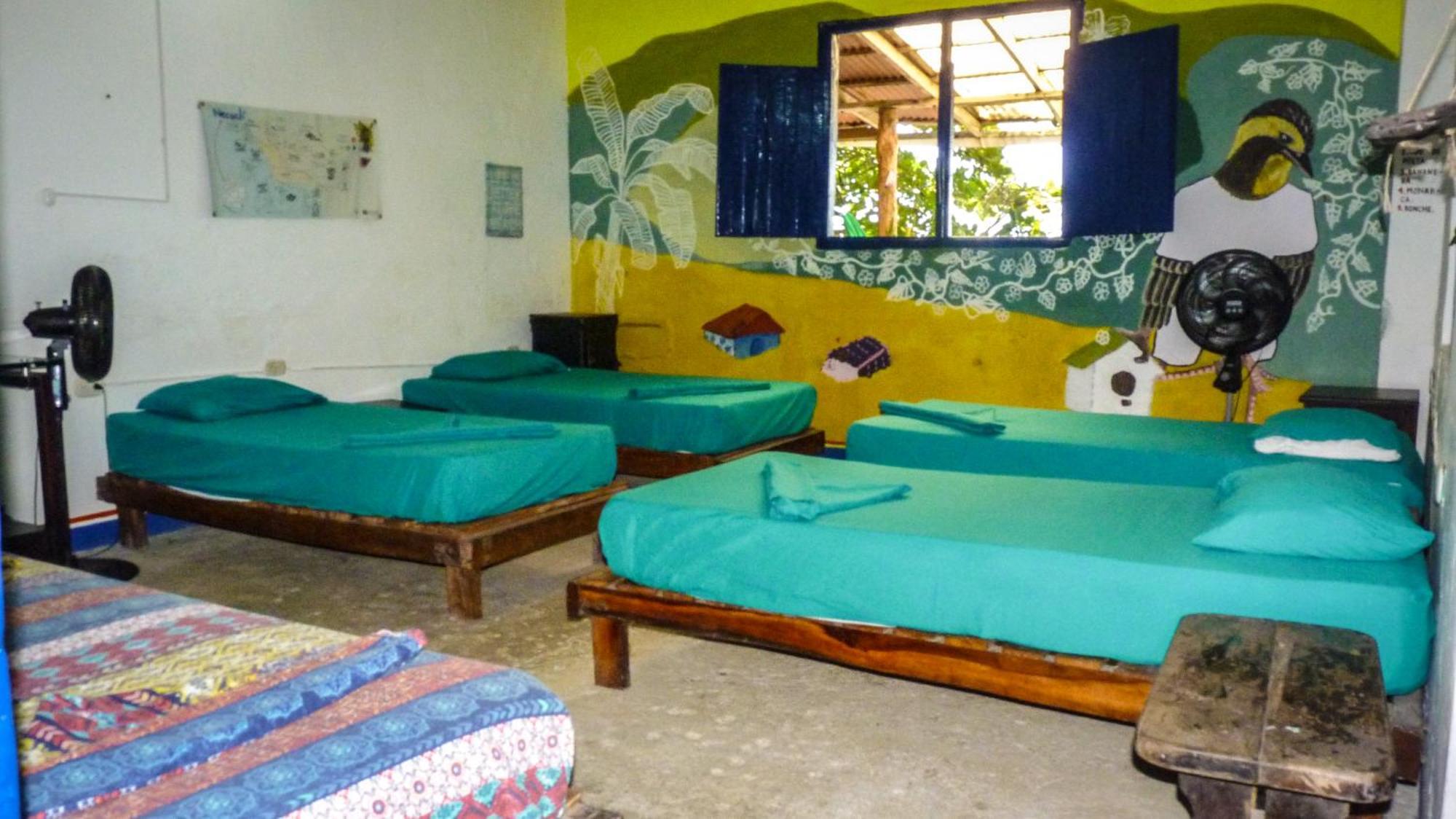 Hostal La Mariapolis Necoclí Dış mekan fotoğraf